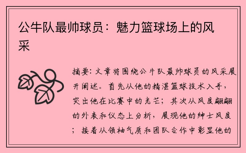 公牛队最帅球员：魅力篮球场上的风采